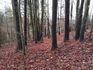 Ansicht 3