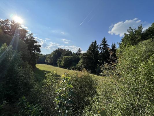 Wiesengrund